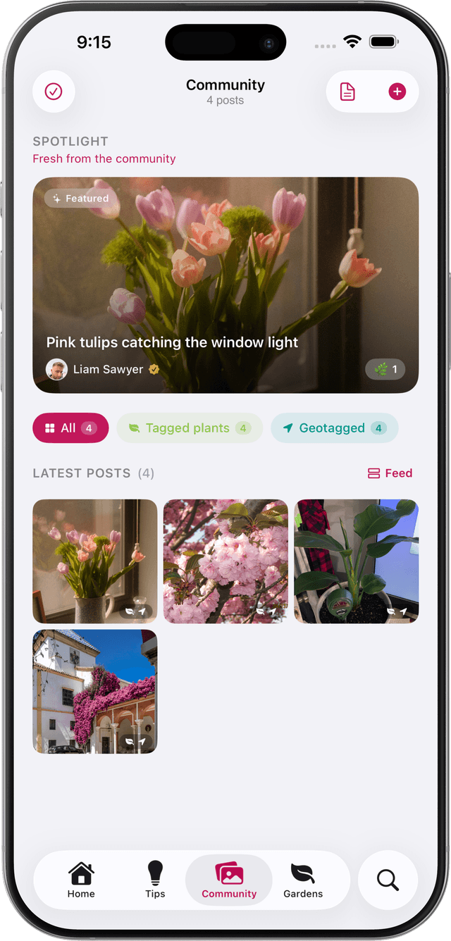 BotanicBase community garden screen